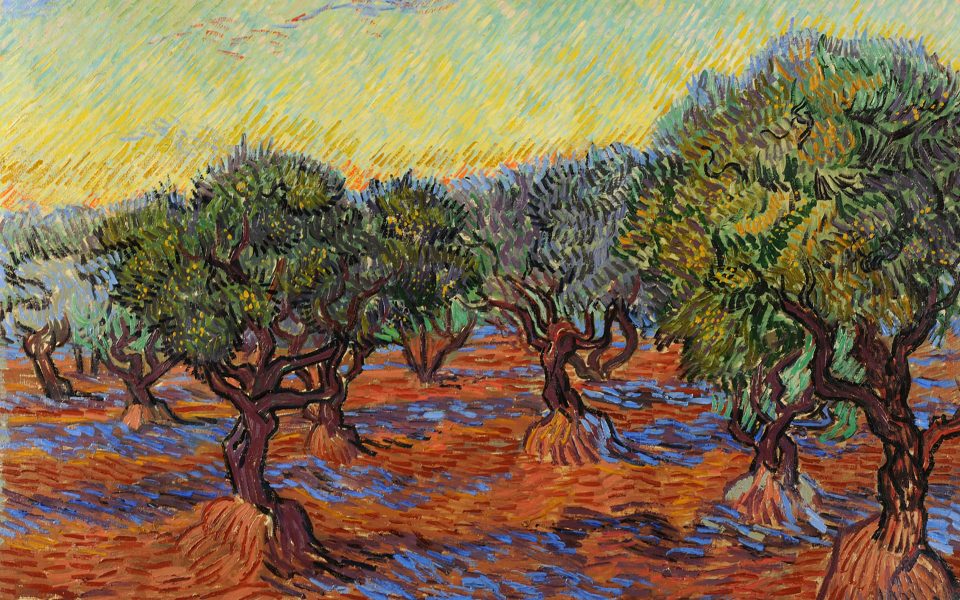 Oljemålning i intensiva färger med korta penseldrag som föreställer krokiga olivträd.